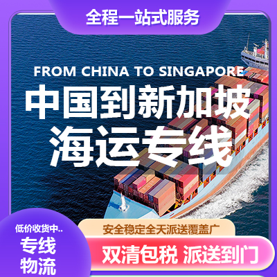 深圳到新加坡物流公司推荐 | 专业可靠，服务保障